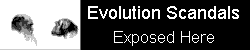 ianscombobanner.gif (5462 bytes)