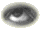 TURNINGEANIM.GIF (6836 bytes)
